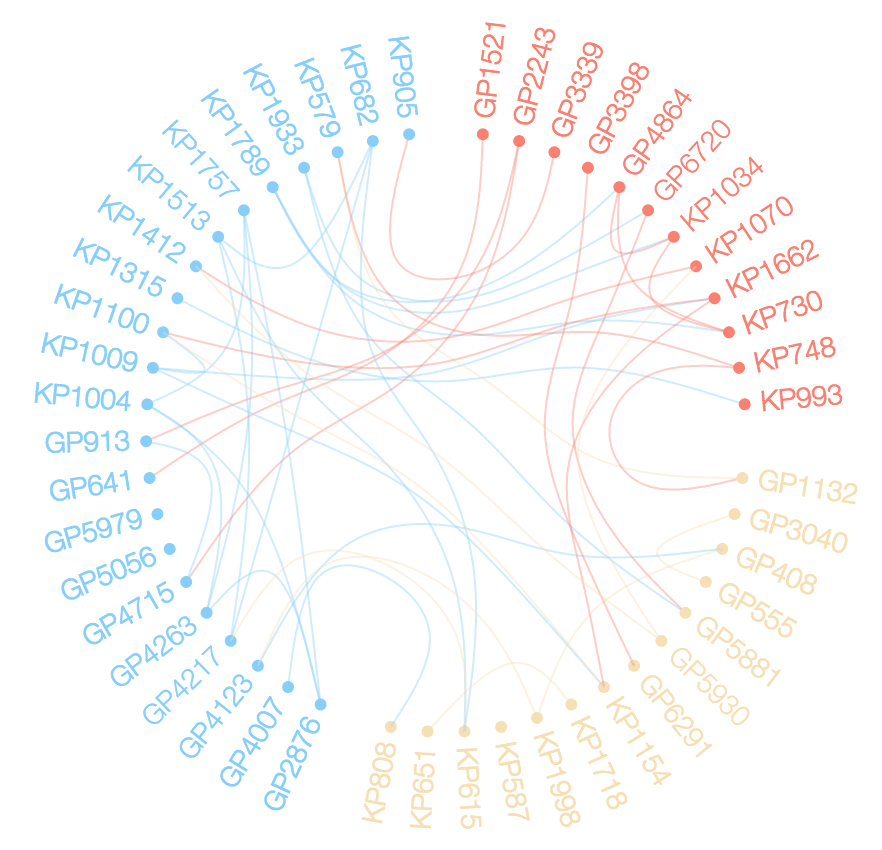 Non-Ribbon Chord Diagram - Data For Visualization