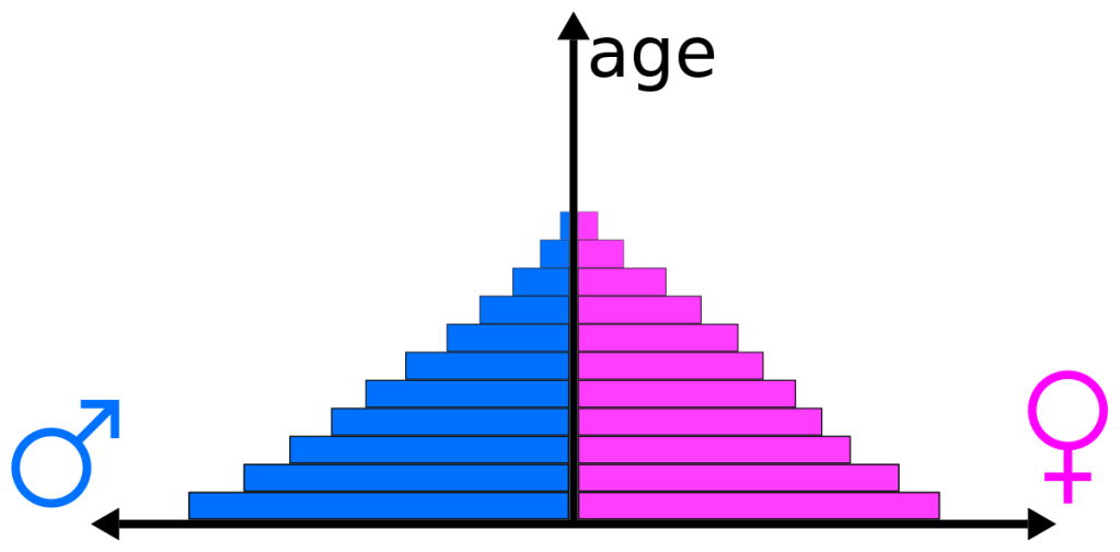 Population Pyramid - Data For Visualization
