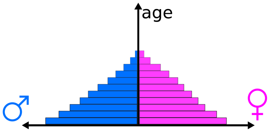 population-pyramid-data-for-visualization